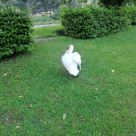 La Cannucciola Piediluco Esterno foto