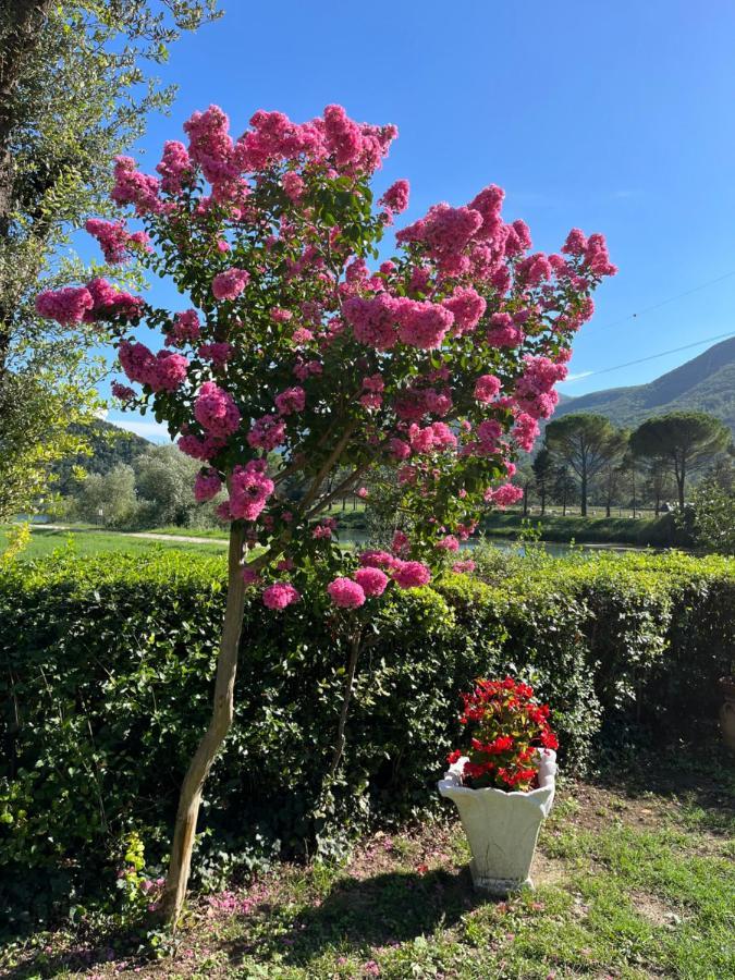 La Cannucciola Piediluco Esterno foto