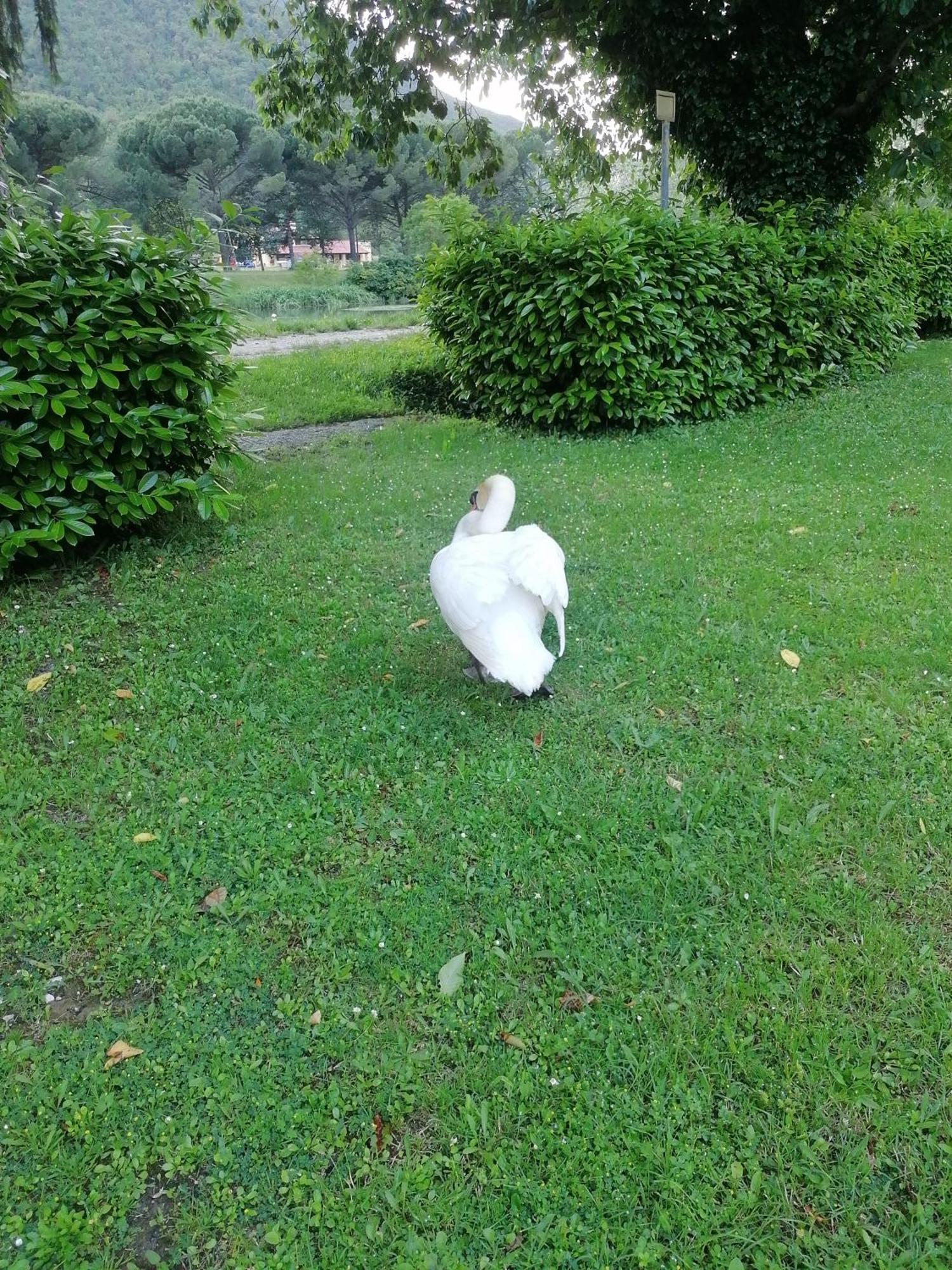 La Cannucciola Piediluco Esterno foto