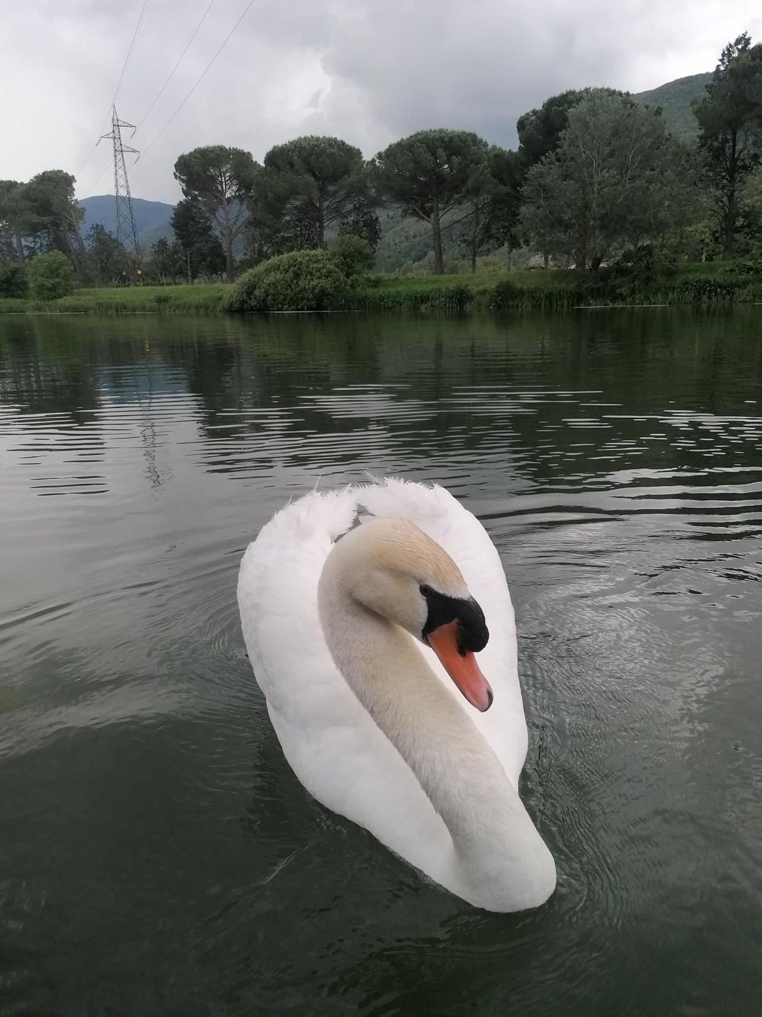 La Cannucciola Piediluco Esterno foto